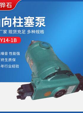 供应2532406380100160DCY250400DCY14-1B/BF轴向柱塞泵