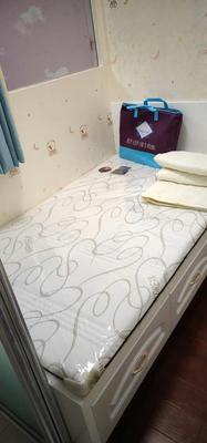 盘点报告:欢颜无胶山棕榈床垫使用4个月心酸经历曝光！买了不后悔