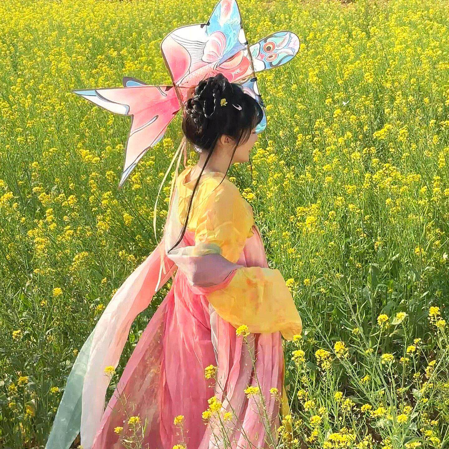 纸鸢风筝大人专用微风易飞非遗汉服拍照道具春游户外写真手持风筝