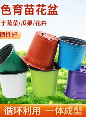 现货加厚双色育苗花盆草莓多肉大号花盆塑料营养多色扦插盆