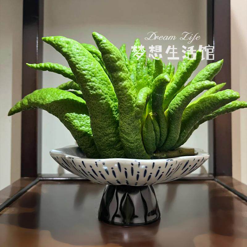 佛手柑托盘器皿养花观赏花盆摆件香橼花器摆放盘容器中式复古花瓶