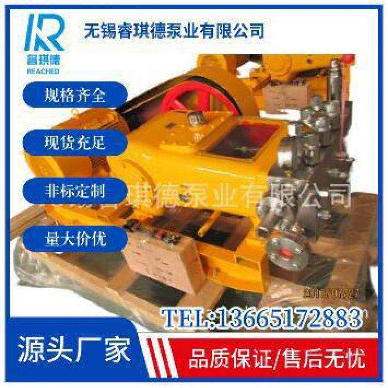 3P8型化工0流程往复式柱塞，三RNB柱高塞压泵流程泵，化工流程泵