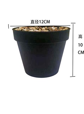 干花仿真绿植专用黑色盆 仿真花白盆仿真塑料花盆带花泥石子泡沫