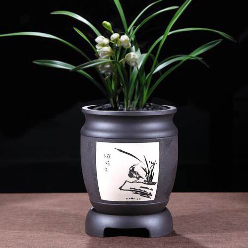 紫砂花盆兰花盆带托盘大号家用圆形拉毛盆君子兰陶瓷多肉透气花盆