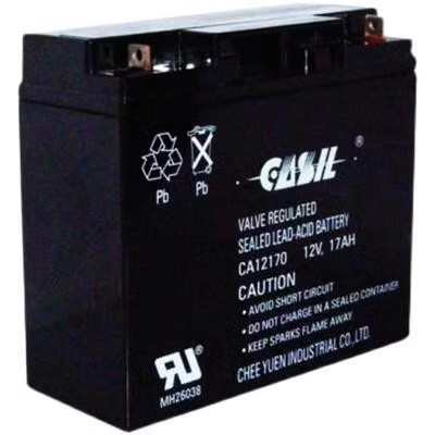 CASIL志源蓄电池CA1212 12V1.2A2.2A4A7A17AH阿兰德防火卷帘门用