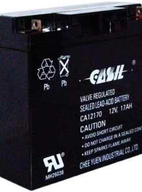 CASIL志源蓄电池CA1212 12V1.2A2.2A4A7A17AH阿兰德防火卷帘门用