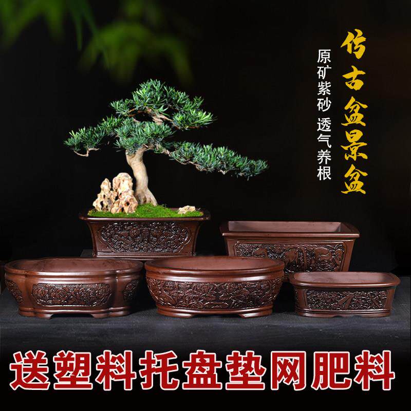 紫砂花盆长方形榕树盆景盆特大号椭圆形老桩梅花植物盆景陶瓷花盆