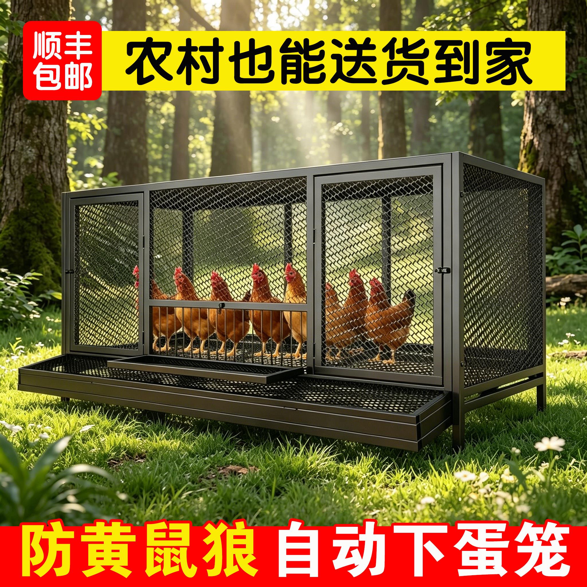 家用下蛋养殖笼鸡笼子室外防雨防黄鼠狼自动清粪加密大号芦丁鸡窝