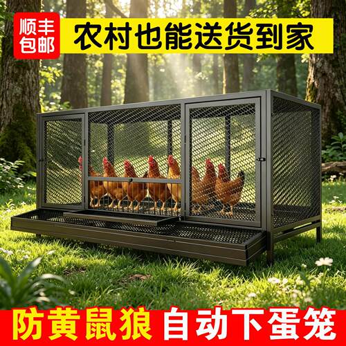 家用下蛋养殖笼鸡笼子室外防雨防黄鼠狼自动清粪加密大号芦丁鸡窝