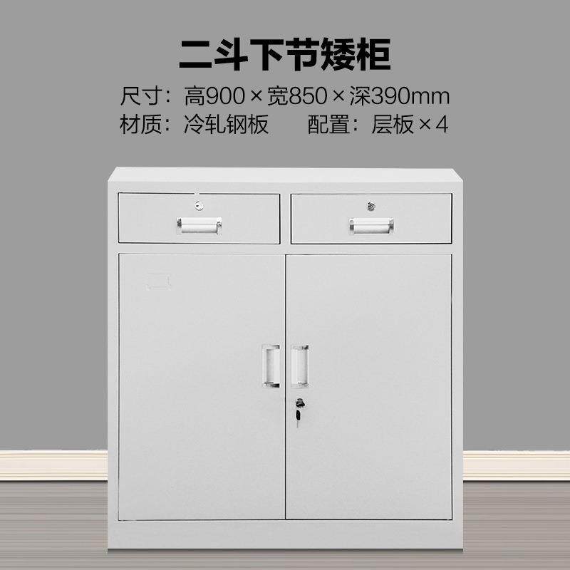 昌玻璃铁皮860*380*文件档案柜制办公中钢二斗储物柜财务凭门证资