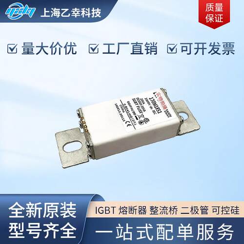 巴斯曼熔断器 170M1850 170M1851 170M1852 170M1853 170M1854