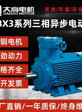 大高YBX3隔爆型dI/dIIBT4三相异步电动机电机厂家工业动力