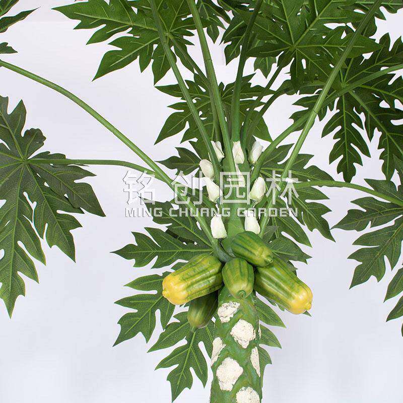 仿真植物万寿木绿植室内盆栽 造景装饰落地大型仿真果树木瓜树