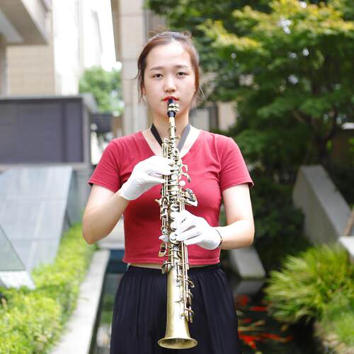 SLADE青仿古色高音萨克斯风降B调直管萨克斯初学专业演奏萨克斯管