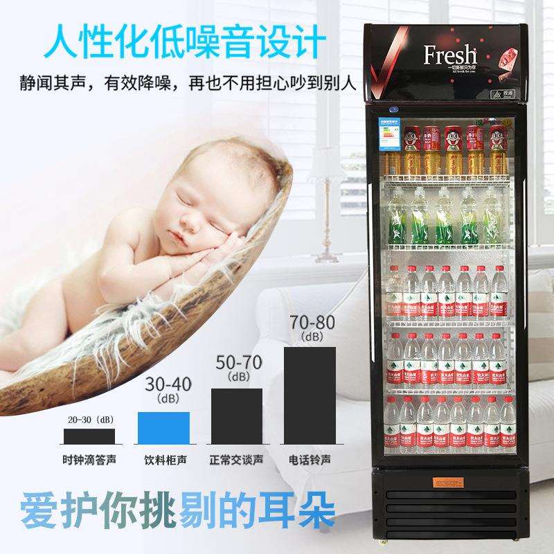 啤酒柜饮料展示柜小型单门冰箱冷藏立式商用双门蔬菜水果食品保鲜