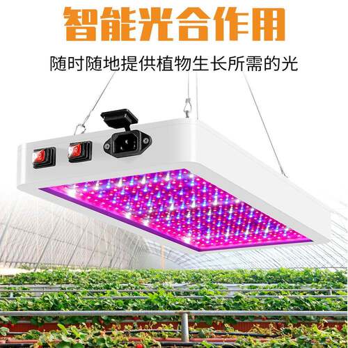 谦润照明LED全光谱2000W植物生长灯1000W盆栽灯防水可调光双模式