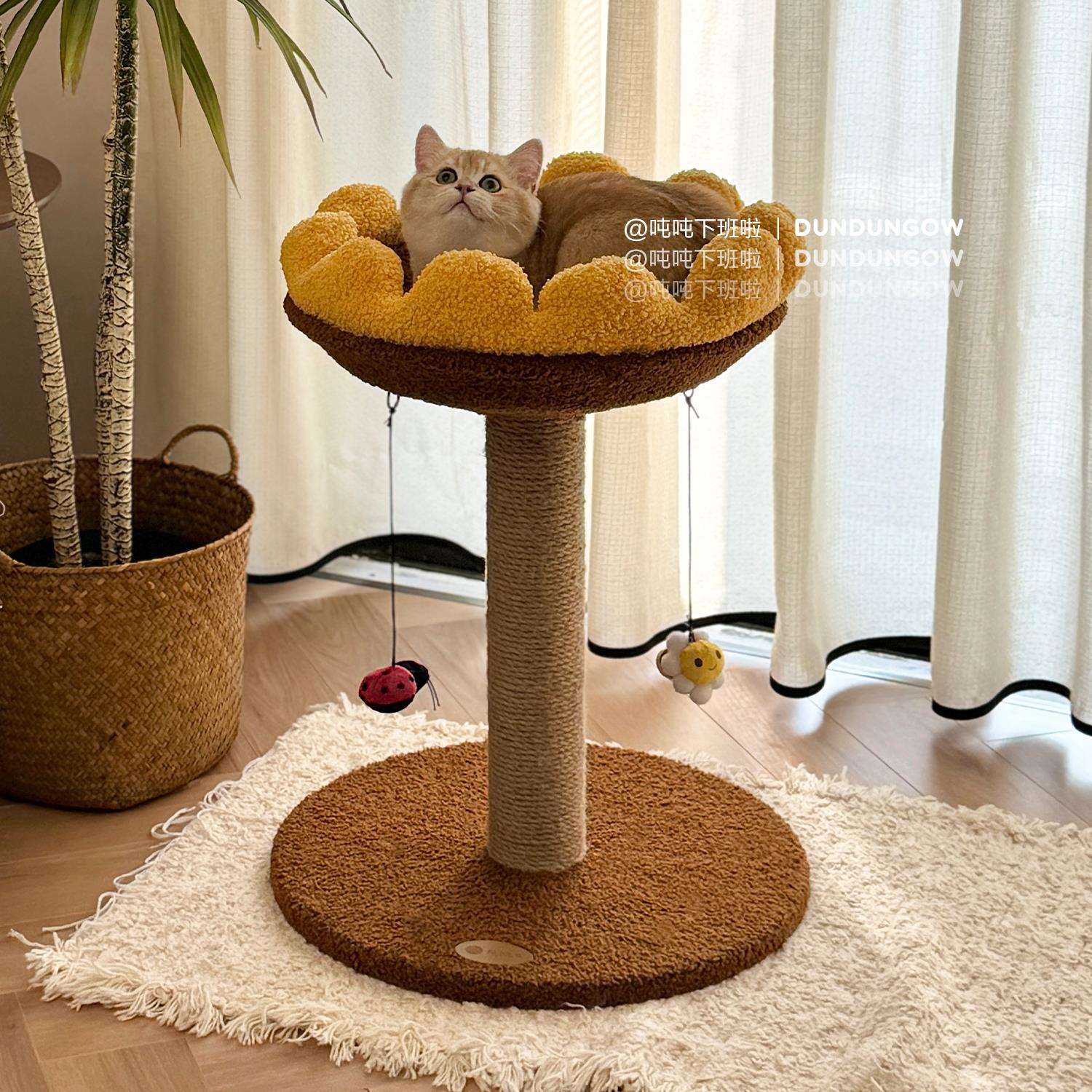 DUNDUN一体式多功能向日葵猫爬架太空舱猫架木制猫窝猫树宠物用品
