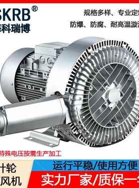 现货2NB 920 H17 12.5KW 380V 366m³/H吹吸两用漩涡高压风机