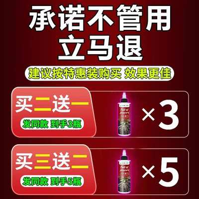 月季枯枝病专用药防黄叶黑斑白粉病杀菌剂月季黑杆病虫害常用药