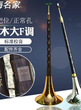 燕京唢呐乐器全套 黑檀乌木专业f调小把位大F民间红白事锁呐哨片