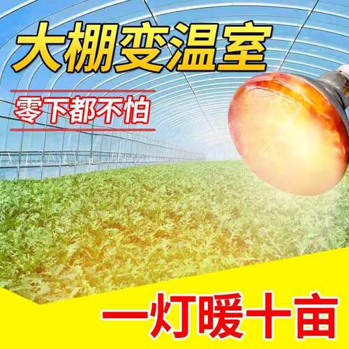 太阳能保温灯养殖场专用取暖灯冬天小鸡舍猪场鹦鹉宠物温控加热灯