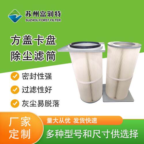 工业粉尘过滤阻燃防静电 法兰喷塑聚酯纤维滤筒 方形卡盘侧装式滤
