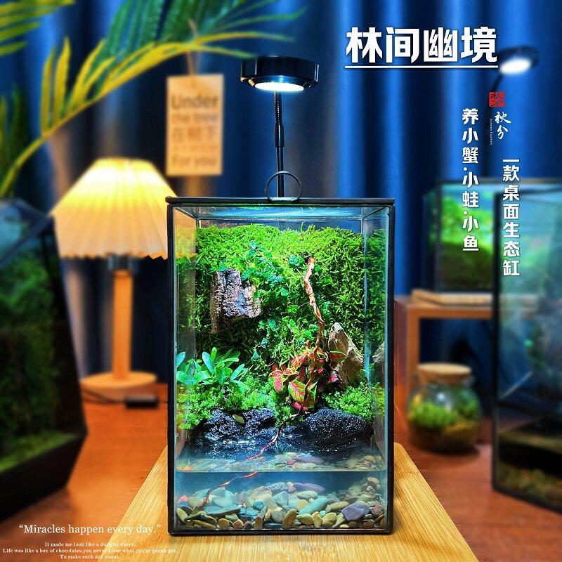 微景观苔藓养螃蟹蛙爬宠造景缸生态缸雨林缸桌面好养