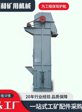 NE型物料提升机砂石混凝土斗提机工业建筑沙石化肥垂直矿用提升机