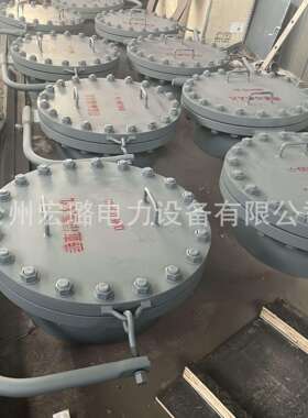 垂直吊盖带颈对焊法兰人孔HG/T21521-2014罐侧人孔DN600钢制耐压