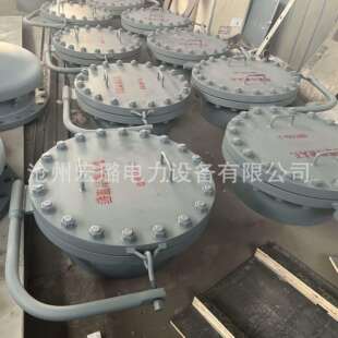 垂直吊盖带颈对焊法兰人孔HG/T21521-2014罐侧人孔DN600钢制耐压