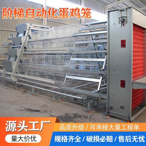 阶梯自动化蛋鸡笼立体式全自动捡蛋清粪层叠蛋鸡笼养鸡场养殖设备