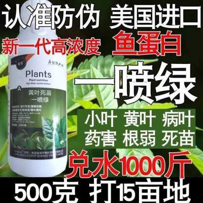 新一喷绿黄叶变j绿黄叶卷多肉保花保果叶面肥一夜绿解害花卉肥料
