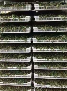 新款烘干设备甘草烘干机煤电两用玫瑰花烘干设备欢迎选购