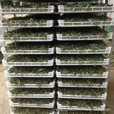 新款烘干设备甘草烘干机煤电两用玫瑰花烘干设备欢迎选购