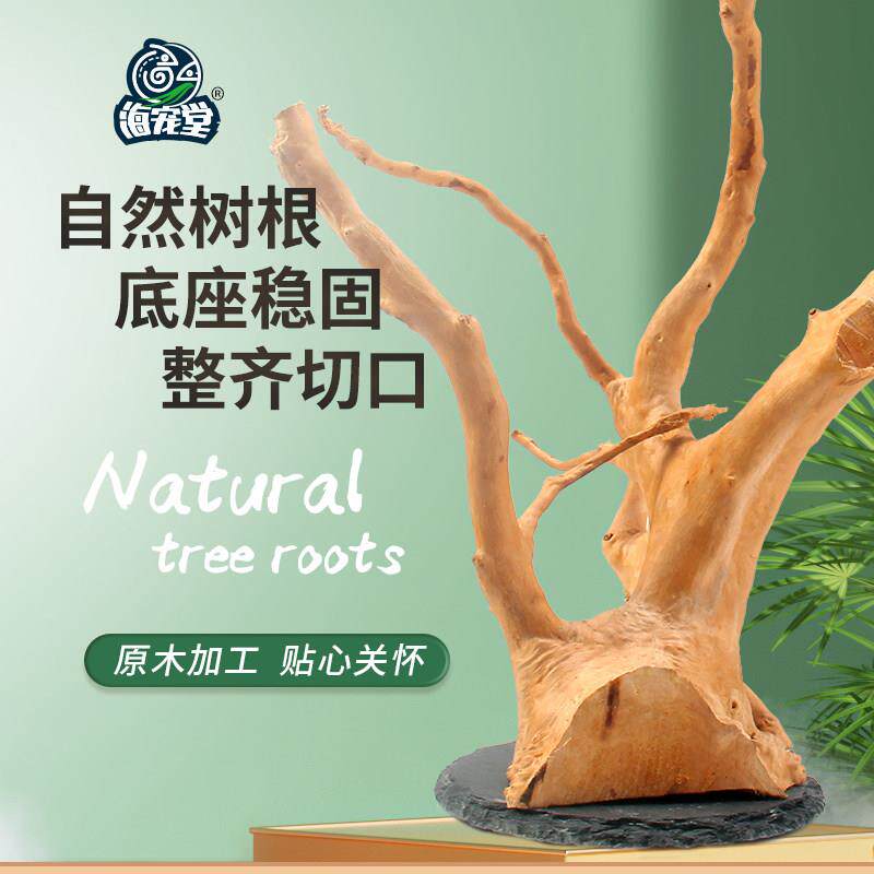 海宠堂爬宠箱饲养缸睫角蜥蜴树栖爬虫攀爬造景沉木树根杜鹃根摆件