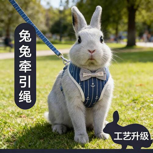 垂耳兔兔子牵引绳夏季背心防咬挣脱链子外出专用宠物兔兔溜兔神器