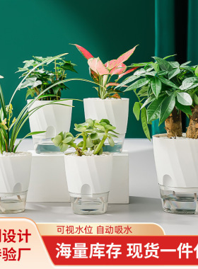 懒人绿萝吸水塑料花盆花盆花瓶