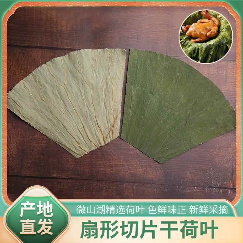 干荷叶包邮微山湖扇形切片荷叶糯米鸡包饭叫花鸡餐饮整张散装