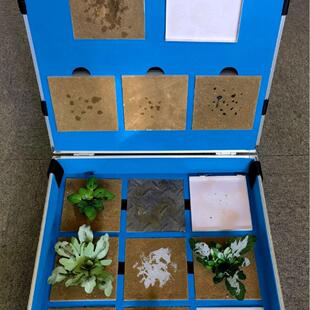 观毒判毒训练考核系统 教学模型 观毒判毒模型