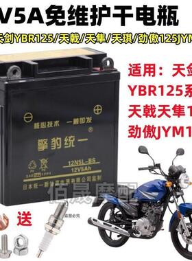 适用天剑YBR125天戟天隼JYM劲傲125机车免维护电池12V5A干 干电瓶