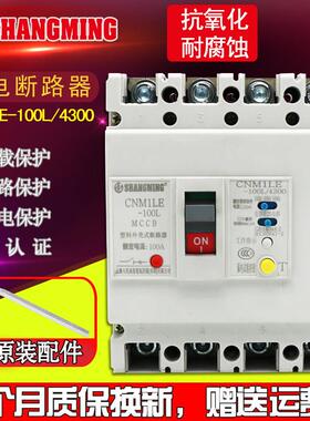 人民电气漏电断路器CM1LE-100A 250A 400A 630A/4300三相四线 线