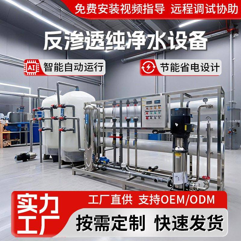 大型工业水处理净化水设备6吨RO反渗透设备全自动纯水系统定制