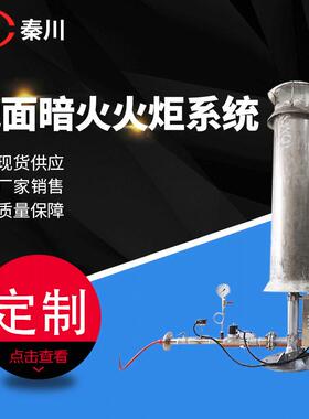 地面暗火沼气火炬垃圾填埋场专用沼气燃烧器自动点火