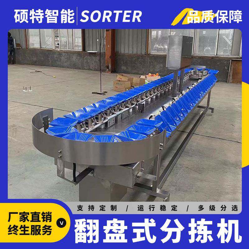 冰糖柚称重分选机葡萄柚全自动重量选果机丑橘克重等级分拣机