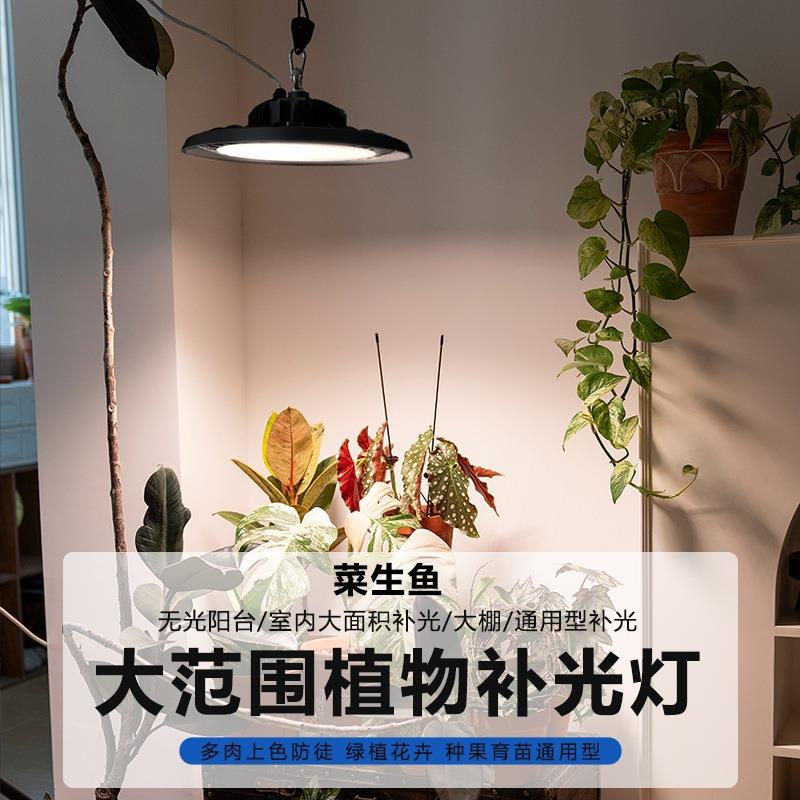 植物补TKS光灯家上色led光谱用室内全阳防台多肉植物徒长专用生长