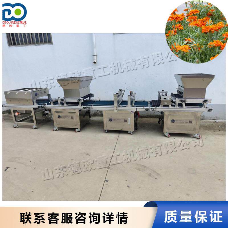 全自动漂盘育苗播种机 西红柿辣椒播种机 孔雀草万寿菊育苗机