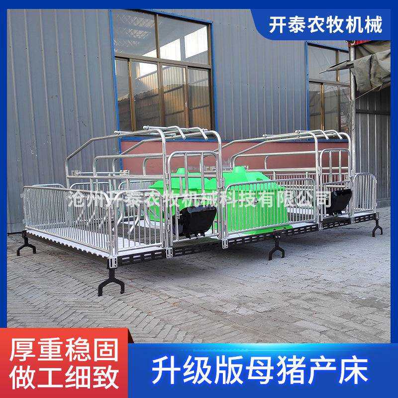 升级版欧式母猪产床猪分娩床猪产床双体连体产床 母猪产床保育床