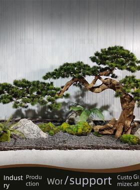 定制模拟松树迎松美松装饰景观树绿化植物美化假松树室内盆景装饰