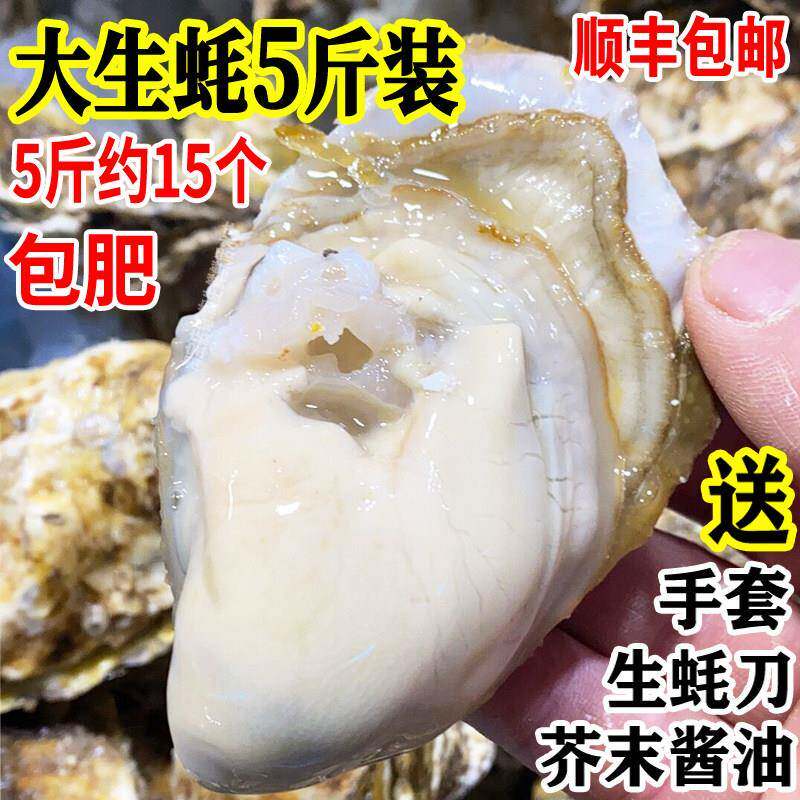 5斤装生蚝鲜活牡蛎海蛎子海鲜海贝壳生吃活体发顺丰包邮一箱