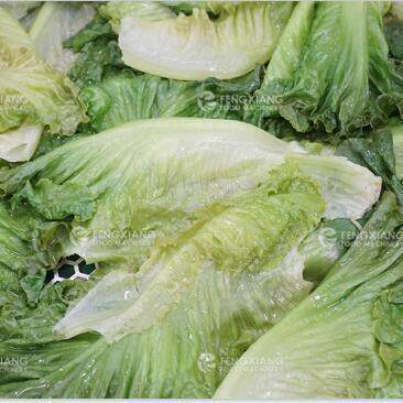 工厂直销 单双缸漂烫机 预制菜前处理 蔬菜水果杀青护色预煮机